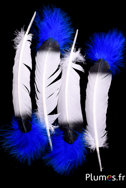 Oie - Plume indienne - 30-35 cm - pointe noire-bleue